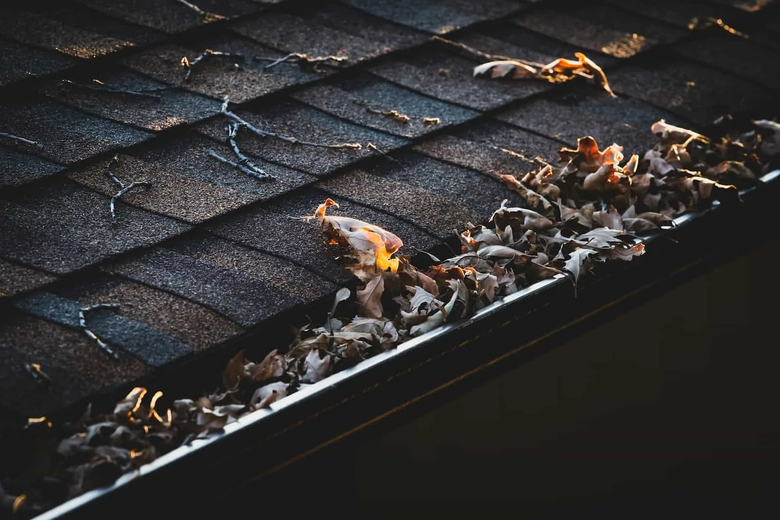 Gutter blocked with fallen leaves on a tiled roof requiring cleaning and repair