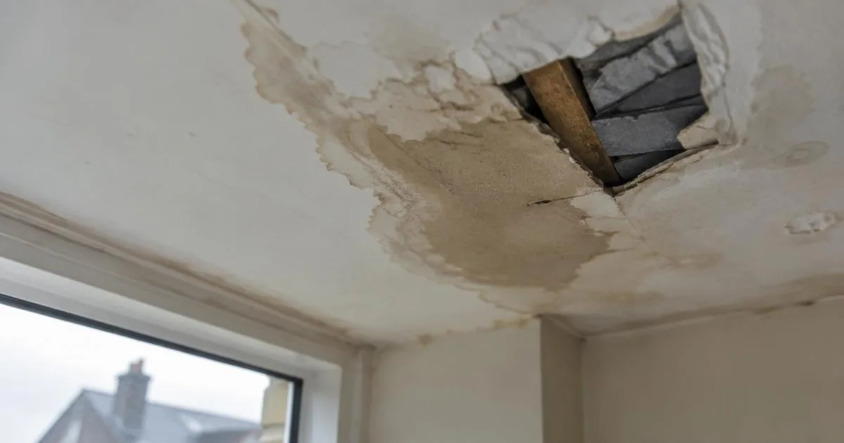 Water stain and damp patch on a ceiling caused by a roof leak